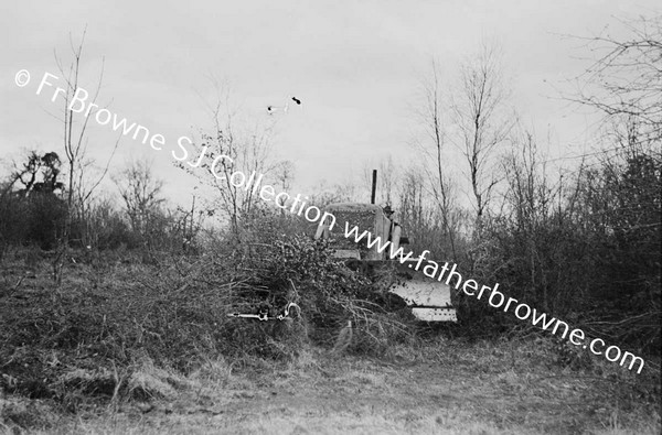 BULLDOZER  CLEARING SCRUB AND TREES